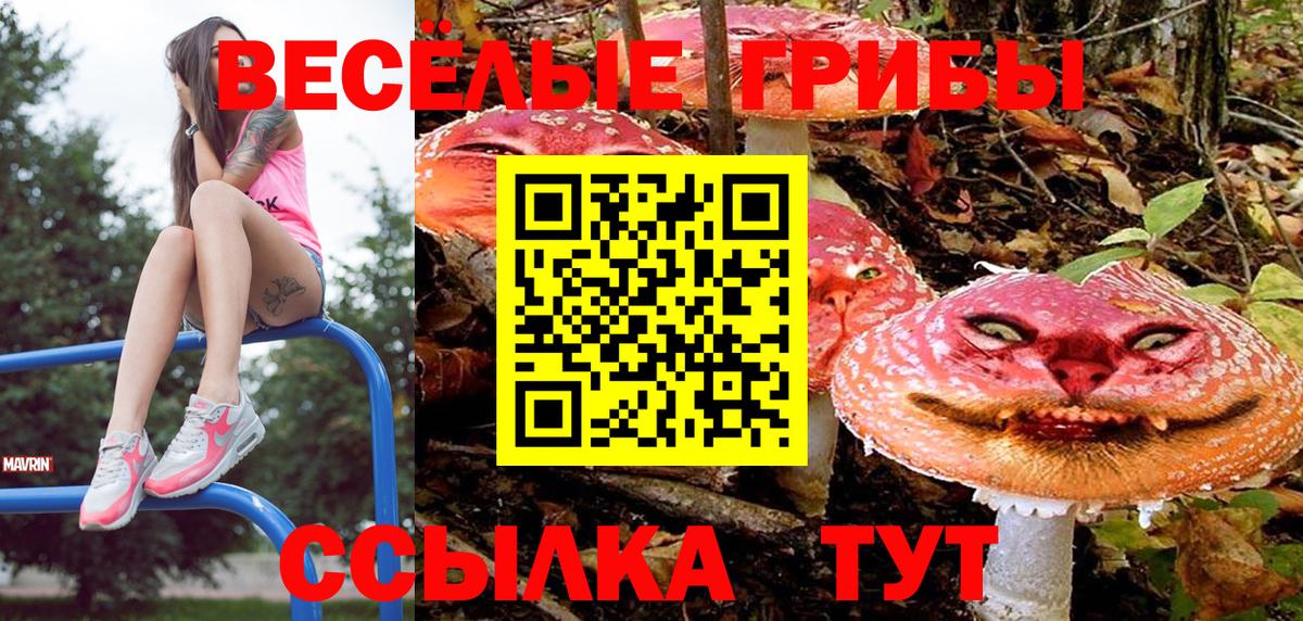 Галлюциногенные грибы Cubensis  Вход с VPN  дарнет шоп  Морозовск 